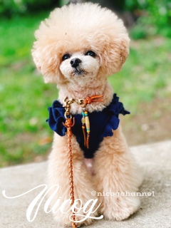 �ۂ���Ƃ��Ă邯�ǉ����񂾂�Ȃ�
