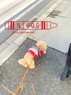 �a�@�̋A��͏�����ł��I