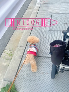���炵�����p