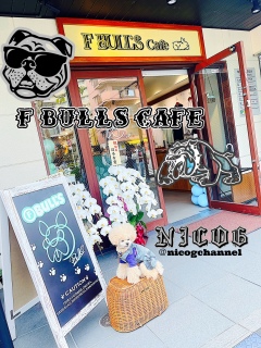 ������������IFBULLScafe