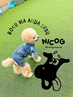�T�������������ł��ˁH