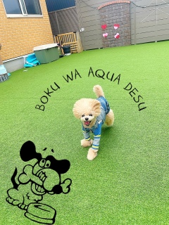 ���ƃp�p�����Ɍ�����j�R�WSMILE