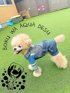 ���@���j�R�W�����Ă�ƋC�����ǂ�
