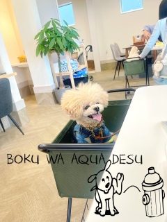 �f�w�w