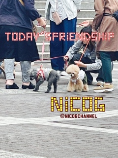 TODAY'Sfriendship