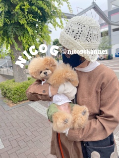 �����}�}�������[��NICOG