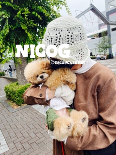 �D���D�����ガ��