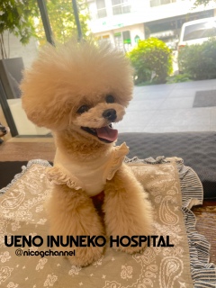 �a�@�ł��[�����������I