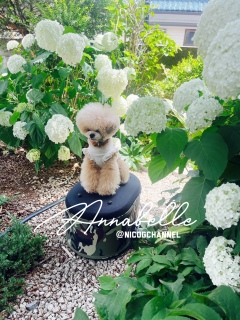 �a�@�₩��H�炪���������܂܁c
