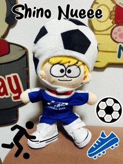 ���������������Ă݂���[