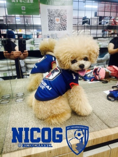 ���ꑽ��S��ȁc
