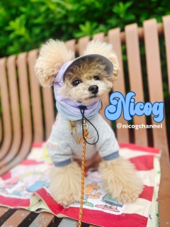 �����Ă���ω������B���ˁ[