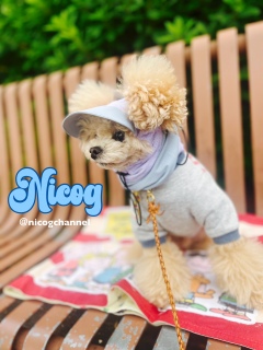 �t���Ă�J���[���[�h�s���s��