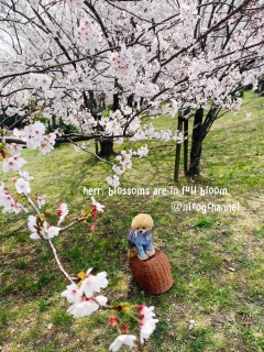���s������D���ȏꏊ