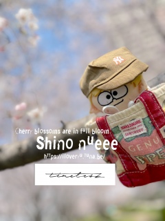 �V�m�ʂ����������łɍs���܂�����