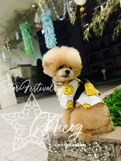���܃j�R
