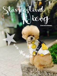 ��ɏo������Ȃ�Ėő��ɂȂ����ǂˁ[