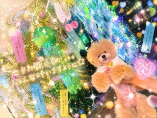 �`���b�s�[�ɃL���L���ɂ��Ă��������[