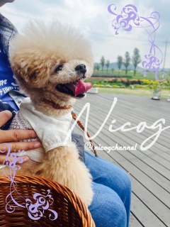 ���X�n�܂�̒x���ĊJ���܂ő҂Ă��c