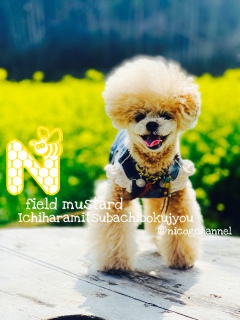 �j�R����������