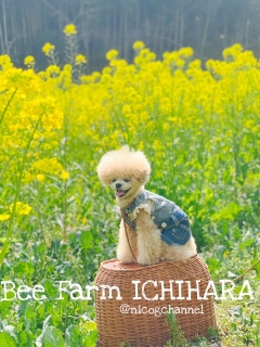 �̂͒��u�����Ă����ǂȂ�