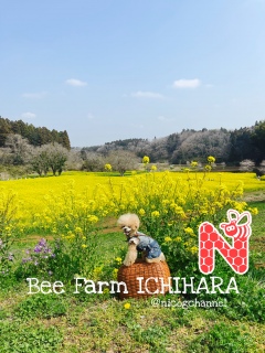 ���ł��ォ�猩���낷�̍ō����ˁI