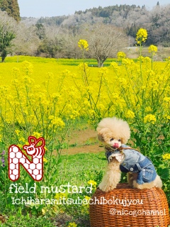 �y�������߂��Ȋ��������