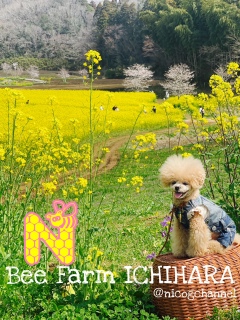 �ォ��B�������̏ꏊ���D�����ȁ[