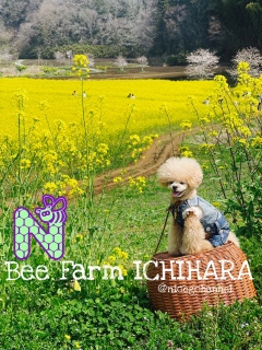 ��ʂ茩�����炢�ɂ͂�������̕������Ă܂����[