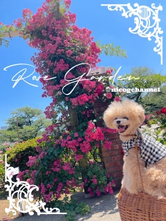 �������炾������Ȃ��̂��ȁH