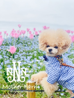 �J�����ڐ�������܂���