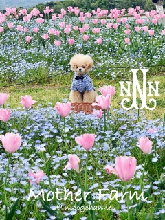 �I����Ă�`���[���b�v���������ǂˁ[
