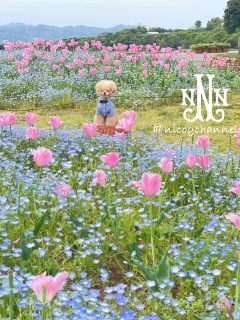 ���܂��ܐl�̓��肪�Ȃ����ǌ��\�������񂢂܂����c���܂��܂ł��B