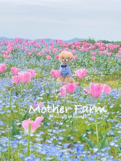 �����̉��q�͉����ꏊ�������Ȃ��[