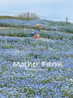�ς��f�����Ȃ��V�[���ł����c�܂��䖝���Č��Ăˁ[
