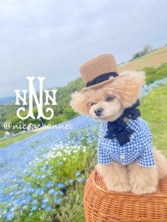 �X�q�҂��ڂ��Ƃ��B