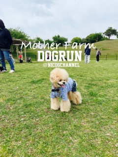 �ώ@�͑ӂ�Ȃ����Ċ���