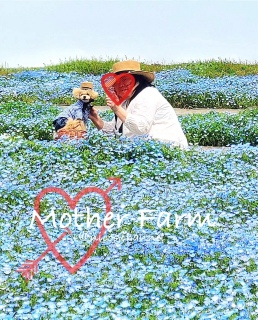 �p�p�����������[