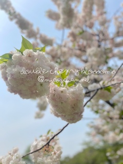 ���d��