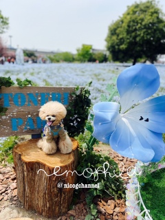 �I�u�W�F�Ƃɂ��~������[