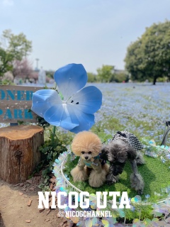 �j�R����
