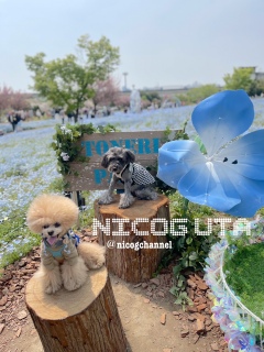 �����Y��ĉ߂����Ă���܂����c