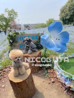 �������񋎔N�̉ăW�[�b�ƉƂɂ��Ċ撣���Ă��ȁ[