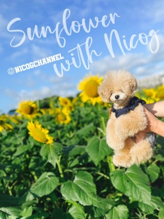 �{�l���C�[���Ȃ�Ŗڂ��J���Ă܂��񂪁c