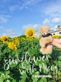 �������͏I����Ă邯�ǂ���Loc