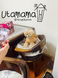 �j�R�Ƃ����}�}����Ƃ�