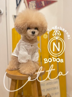 ���������I