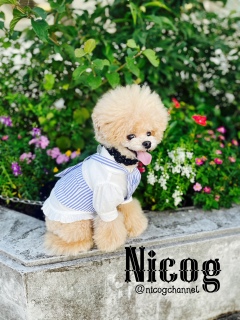 ���U�����V�C���肵���疈���s���I