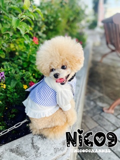 �d�������グ�āc���̃g���~���O�B